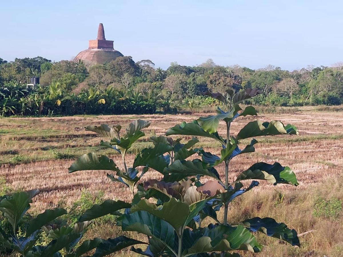 Green Shield Resort อนุราธปุระ ภายนอก รูปภาพ