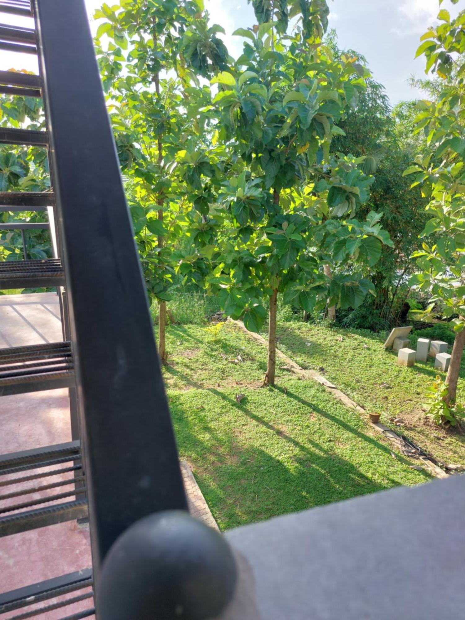Green Shield Resort อนุราธปุระ ภายนอก รูปภาพ