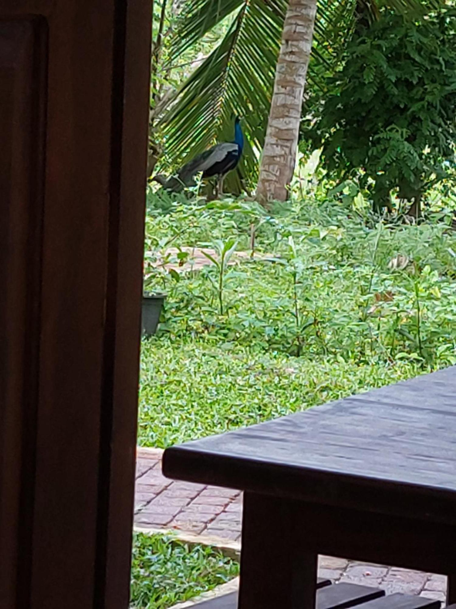 Green Shield Resort อนุราธปุระ ภายนอก รูปภาพ