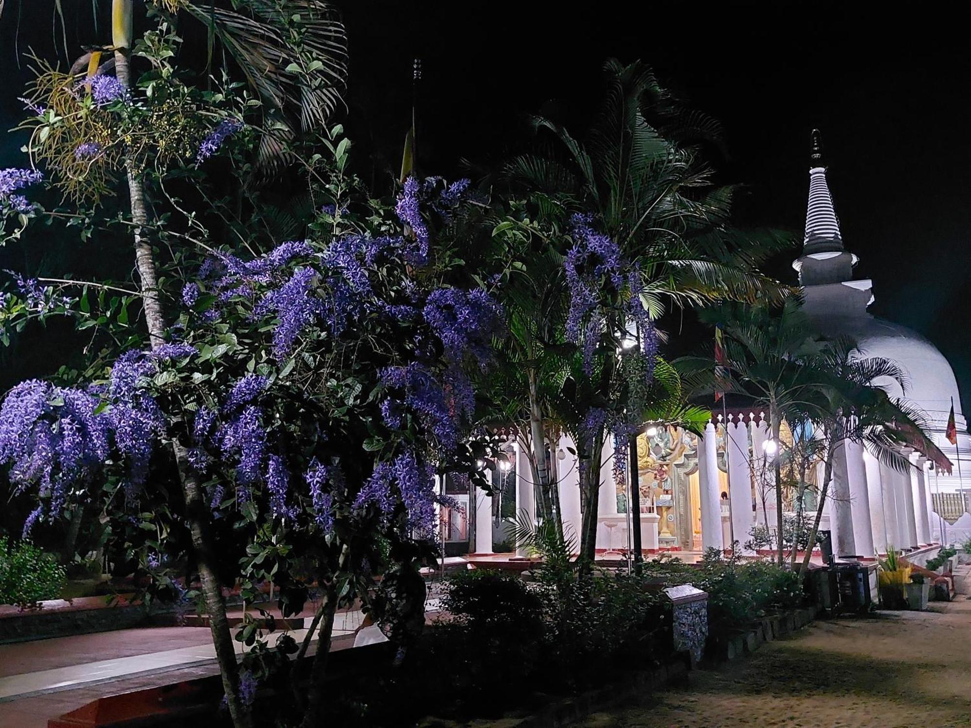 Green Shield Resort อนุราธปุระ ภายนอก รูปภาพ