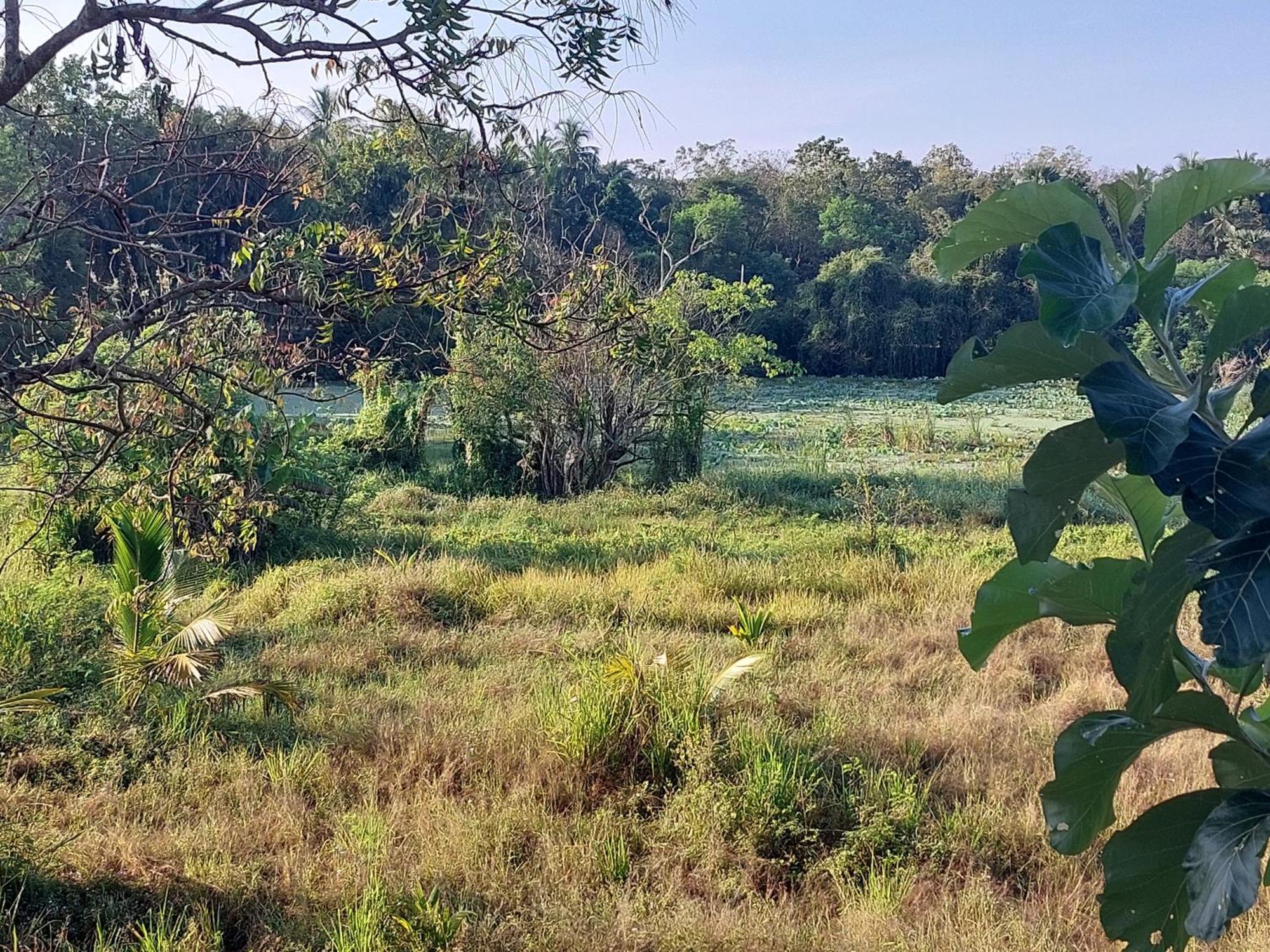 Green Shield Resort อนุราธปุระ ภายนอก รูปภาพ